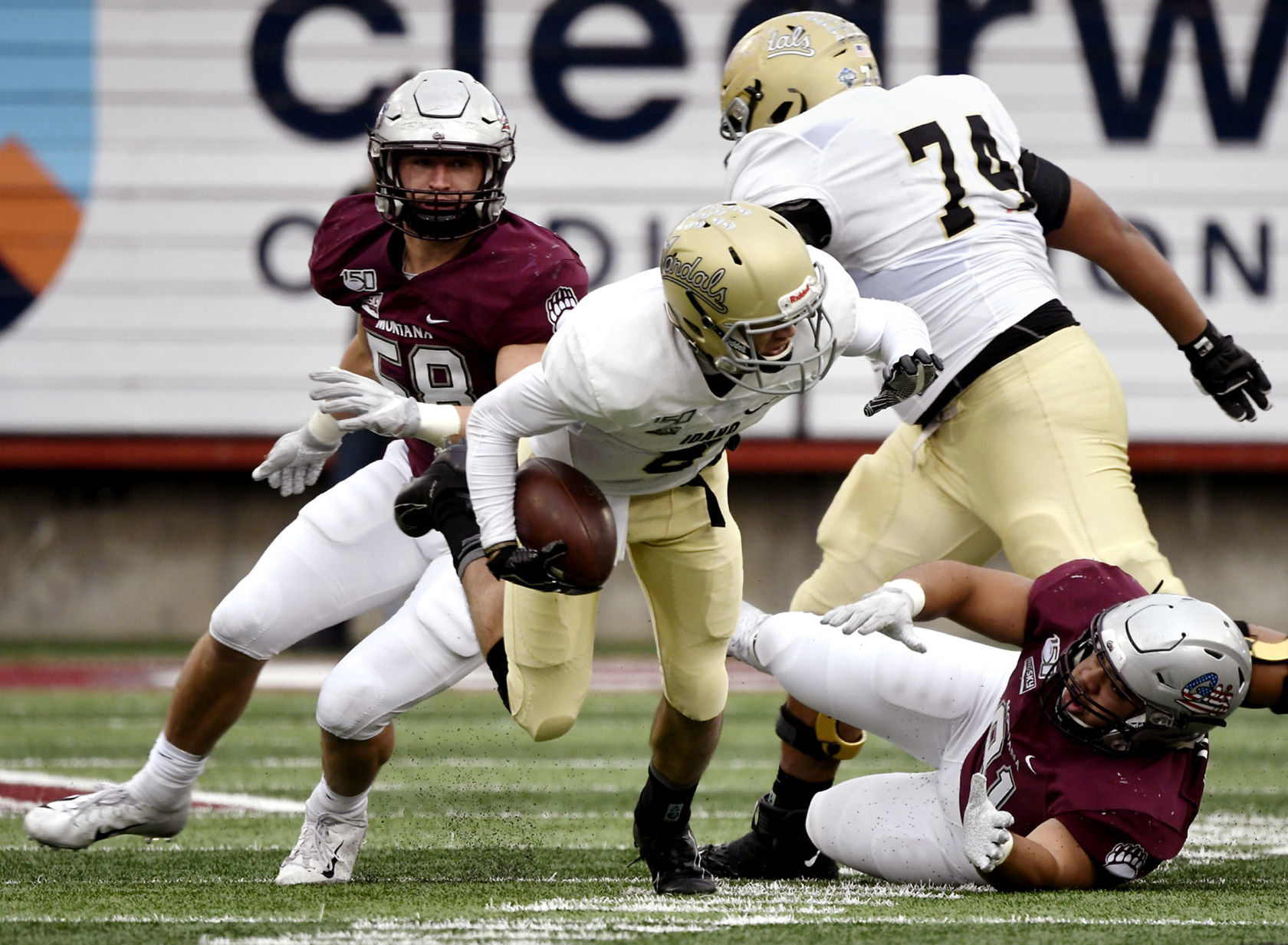 Montana vs Idaho Football 14.jpg